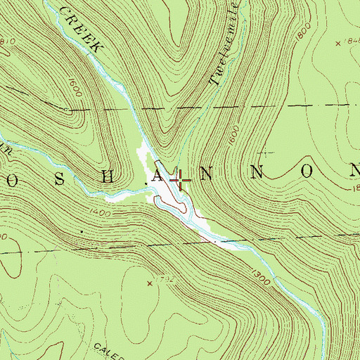Topographic Map of Twelvemile Run, PA