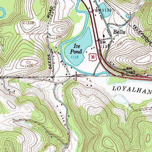 Topographic Map of Twomile Run, PA