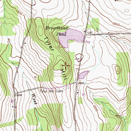Topographic Map of Tyler Hill, PA