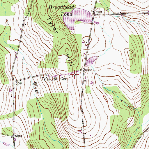 Topographic Map of Tyler Hill Cemetery, PA