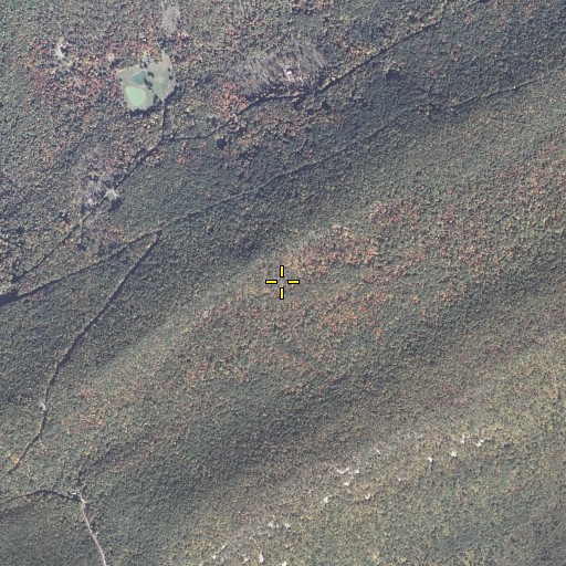 Aerial/Satellite Image of Ulsh Gap Trail, PA