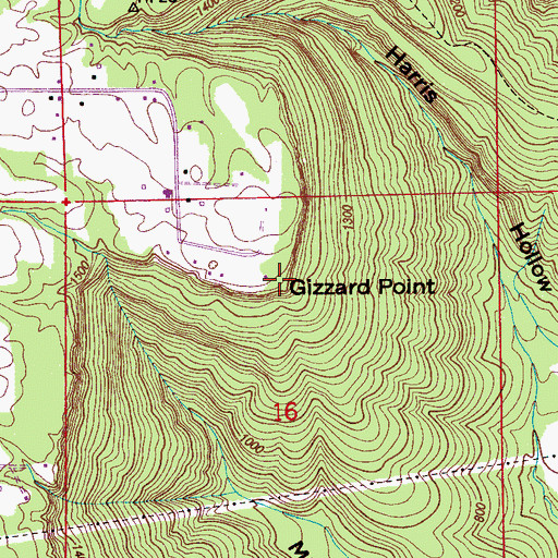 Topographic Map of Gizzard Point, AL