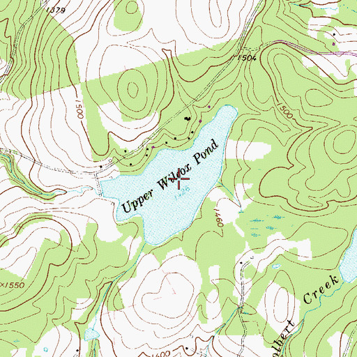 Topographic Map of Upper Wilcox Pond, PA