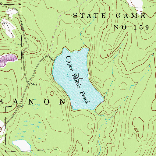 Topographic Map of Upper Woods Pond, PA