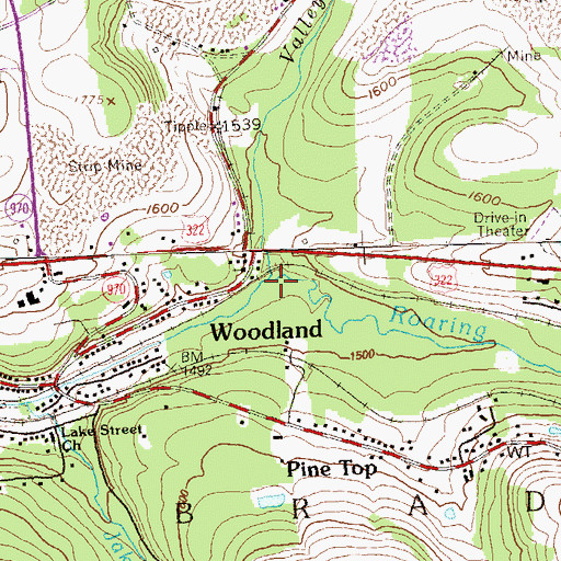 Topographic Map of Valley Fork Run, PA