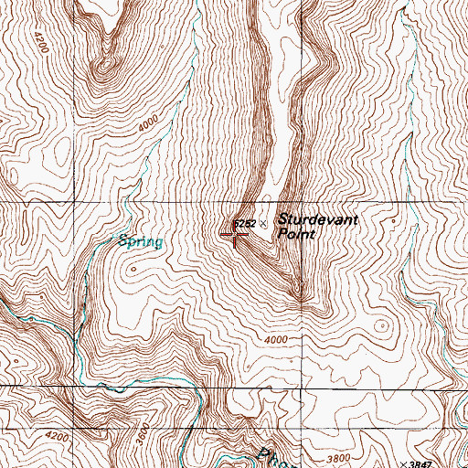 Topographic Map of Sturdevant Point, AZ