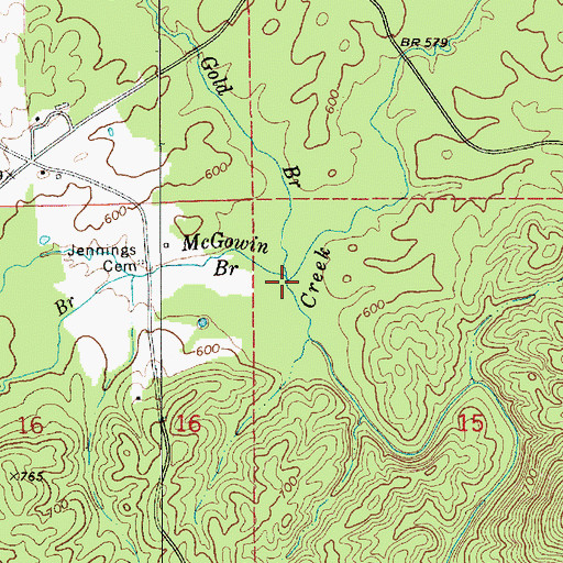 Topographic Map of Gold Branch, AL