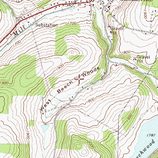 Topographic Map of West Beech Woods, PA