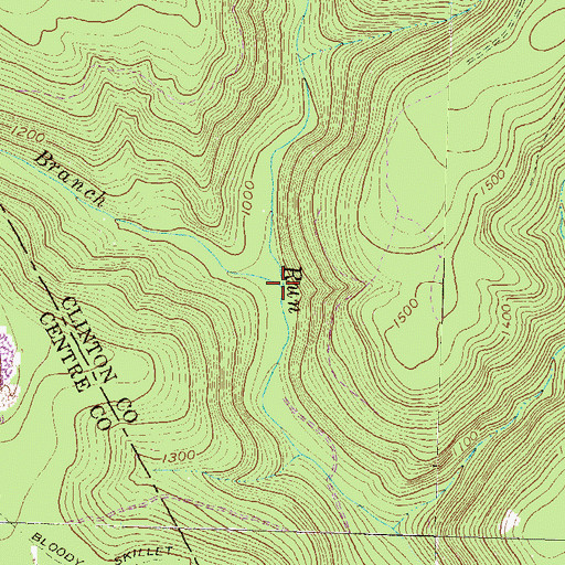 Topographic Map of West Branch Big Run, PA