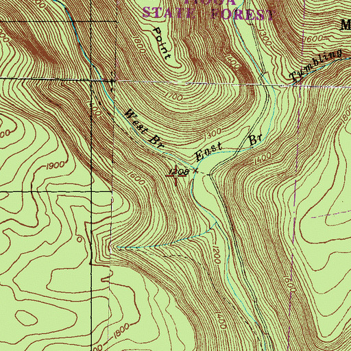Topographic Map of West Branch Stony Fork, PA