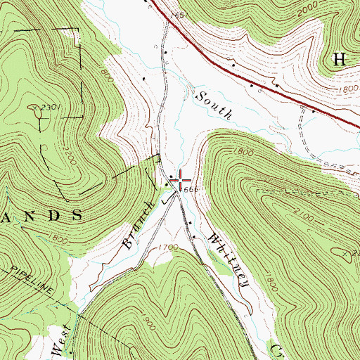 Topographic Map of West Branch Whitney Creek, PA