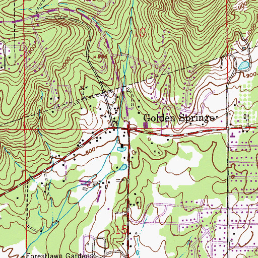 Topographic Map of Golden Springs, AL