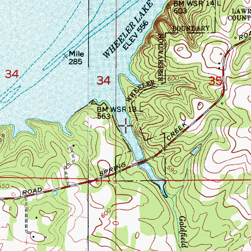 Topographic Map of Goldfield Branch, AL