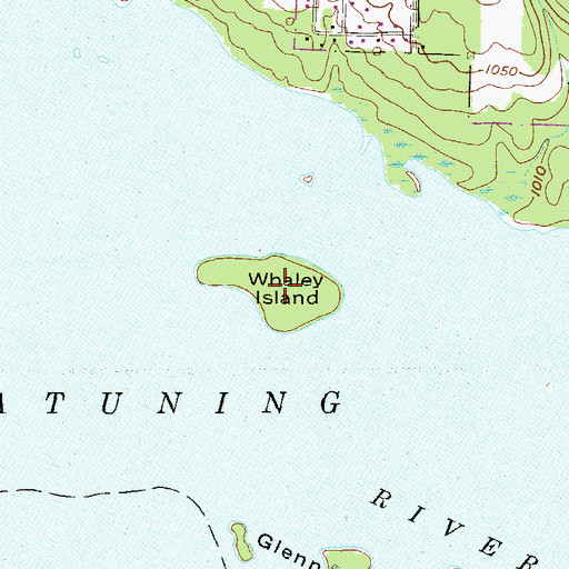 Topographic Map of Whaley Island, PA