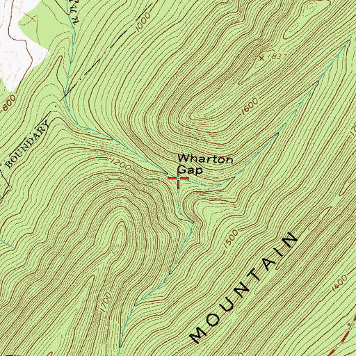 Topographic Map of Wharton Gap, PA