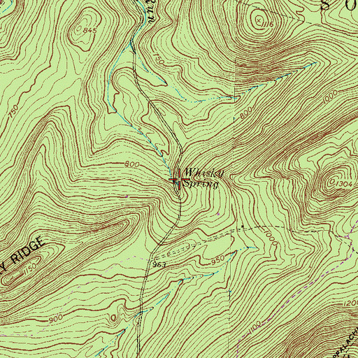 Topographic Map of Whisky Spring, PA