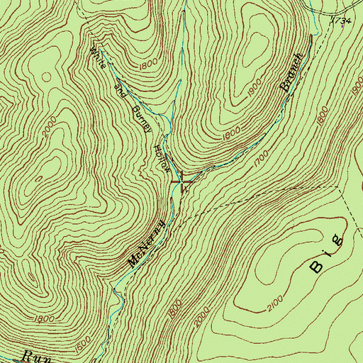 Topographic Map of White and Burney Hollow, PA