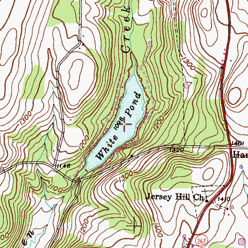 Topographic Map of White Pond, PA