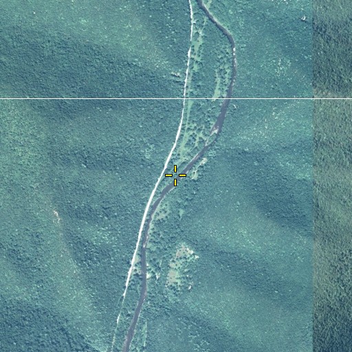 Aerial/Satellite Image of White Run, PA