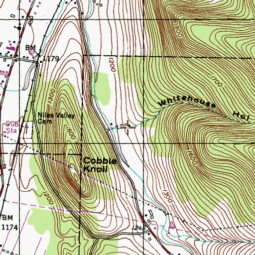 Topographic Map of Whitehouse Hollow, PA