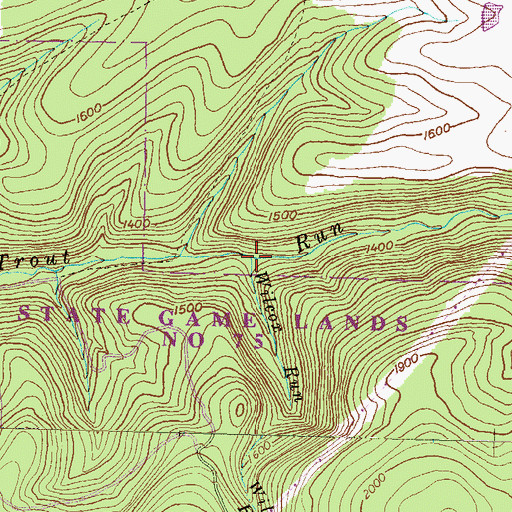 Topographic Map of Wilcox Run, PA