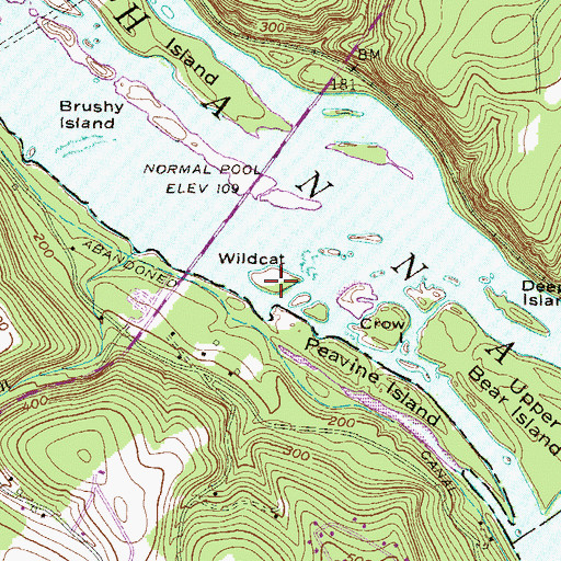 Topographic Map of Wildcat, PA