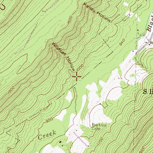 Topographic Map of Wildcat Hollow, PA