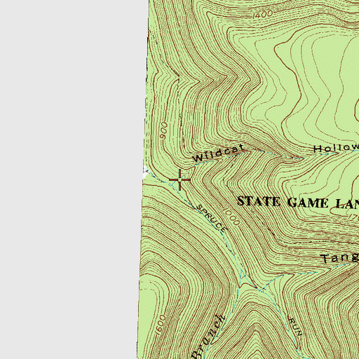 Topographic Map of Wildcat Hollow, PA