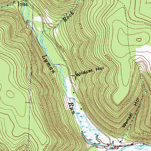 Topographic Map of Wildcat Hollow, PA