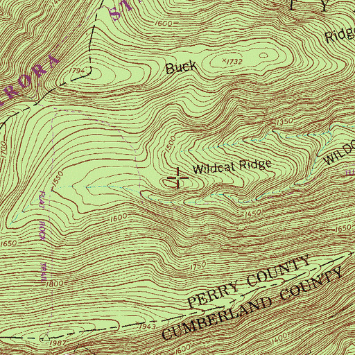 Topographic Map of Wildcat Ridge, PA