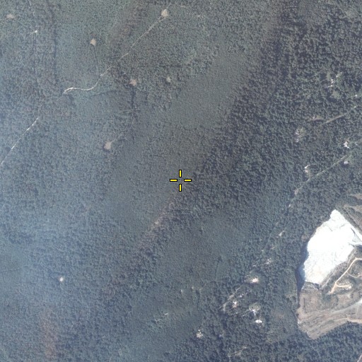 Aerial/Satellite Image of Wildcat Rocks, PA
