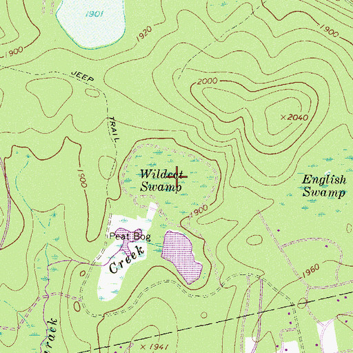 Topographic Map of Wildcat Swamp, PA