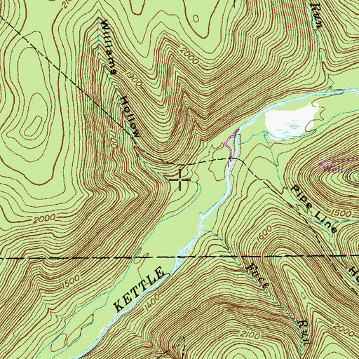 Topographic Map of Williams Hollow, PA