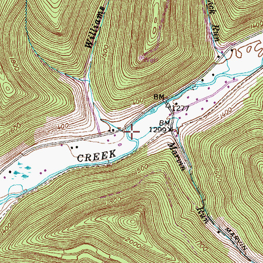 Topographic Map of Williams Run, PA