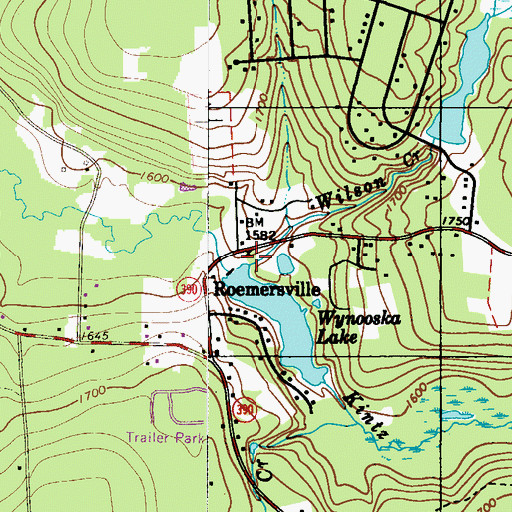 Topographic Map of Wilson Creek, PA