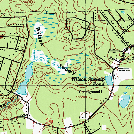 Topographic Map of Wilson Swamp, PA