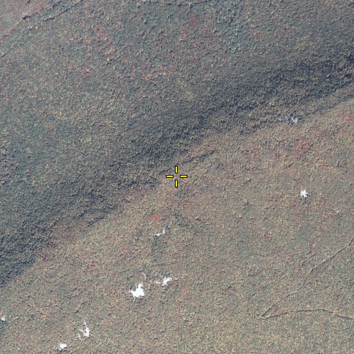 Aerial/Satellite Image of Winter Trail, PA