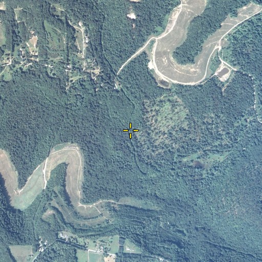Aerial/Satellite Image of Wolf Lick Run, PA