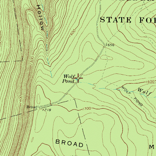 Topographic Map of Wolf Pond, PA