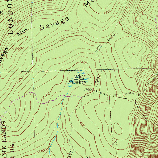 Topographic Map of Wolf Swamp, PA