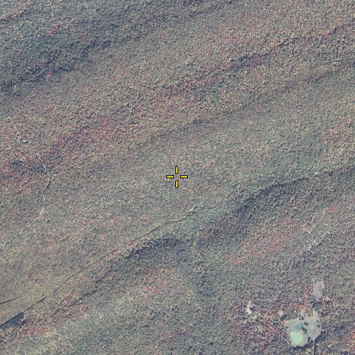 Aerial/Satellite Image of Wolfe Gap Trail, PA
