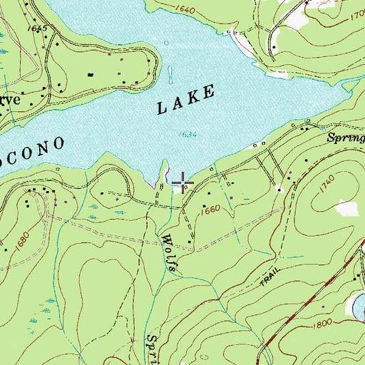 Topographic Map of Wolfs Spring Run, PA