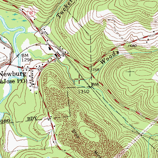 Topographic Map of Woods Run, PA
