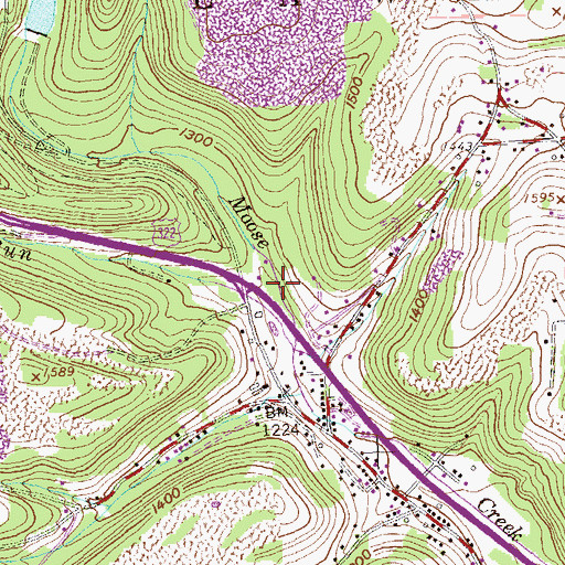 Topographic Map of Woods Run, PA