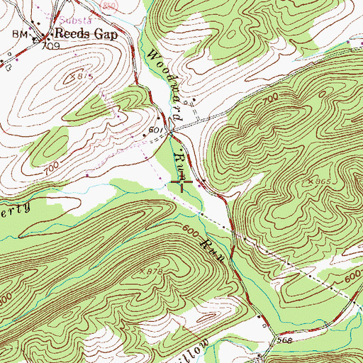 Topographic Map of Woodward Run, PA