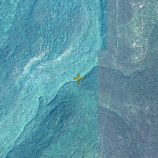 Aerial/Satellite Image of Yellow Dog Run, PA