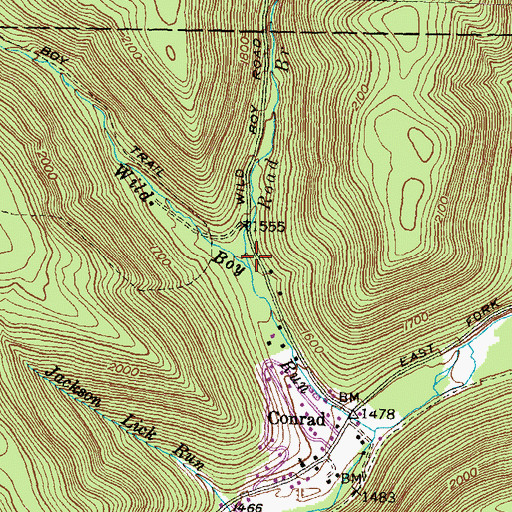 Topographic Map of Road Branch, PA