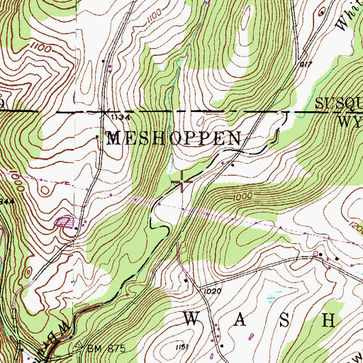 Topographic Map of White Creek, PA