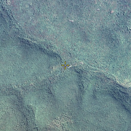 Aerial/Satellite Image of Baker Branch, PA