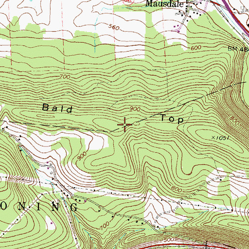 Topographic Map of Bald Top, PA